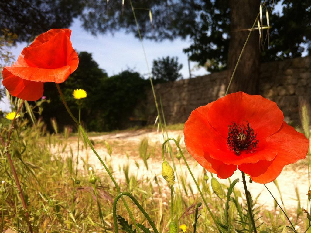 شقة I Giardini Di Pomona تْشيستيرنِنو المظهر الخارجي الصورة